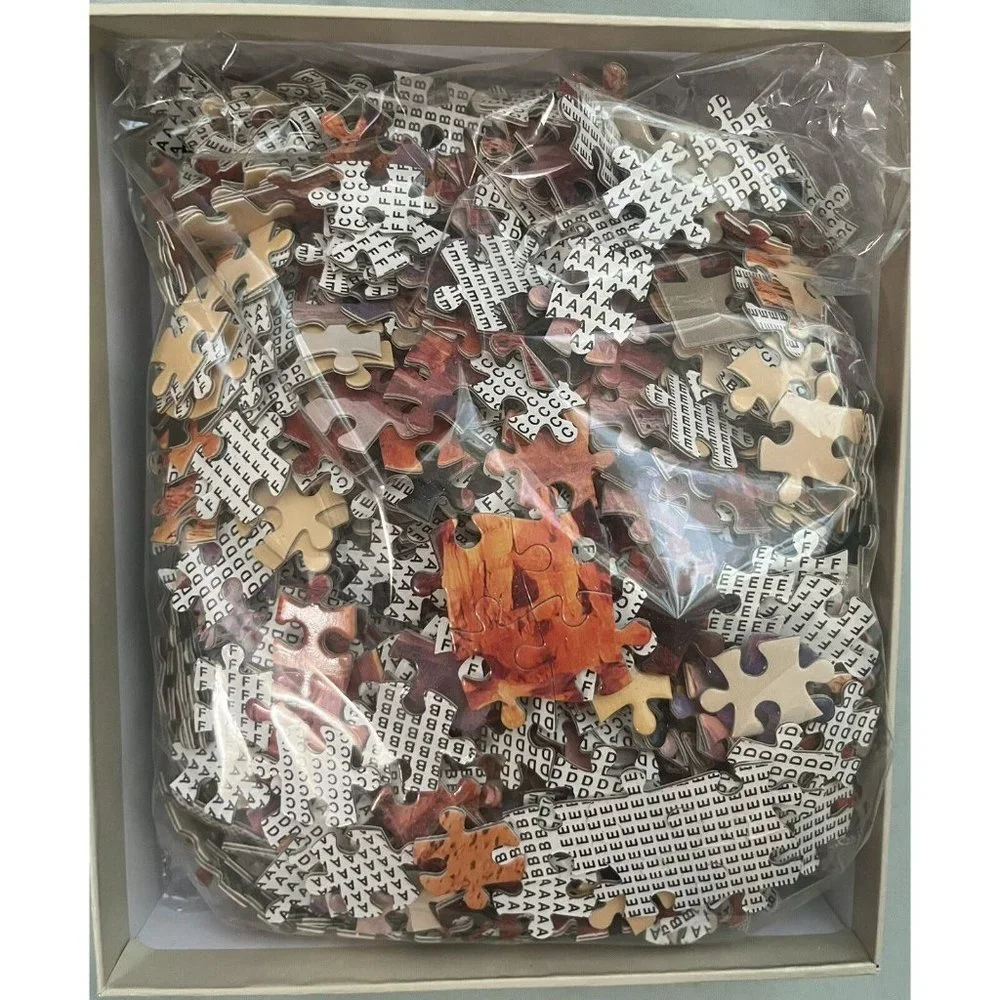 NIB The Last Piece Imogen Clark Jigsaw Puzzle Nightingale Cecily Book Traveler